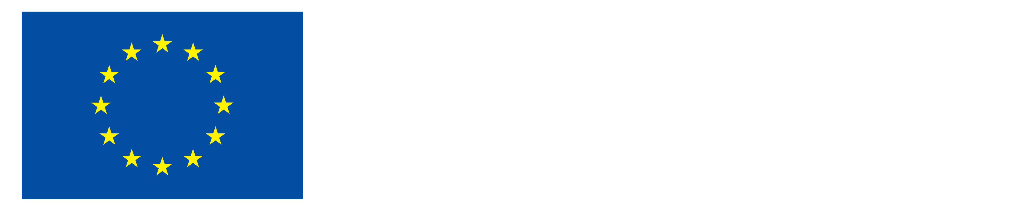 Co-funded by the European Union